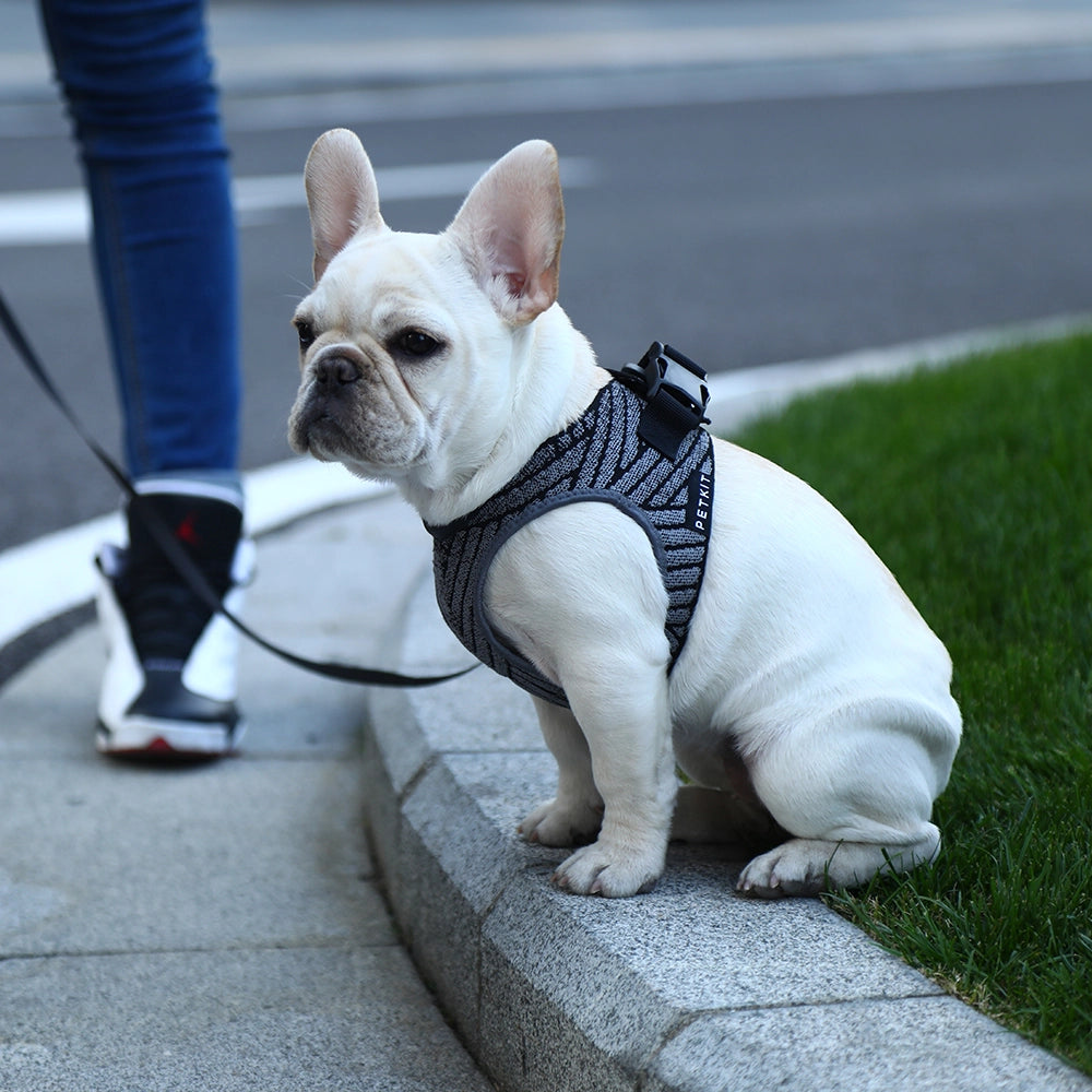 PETKIT AIR FLY Dog Harness