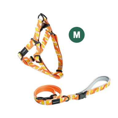 PAWZCITY Harness & Leash Set For Dog