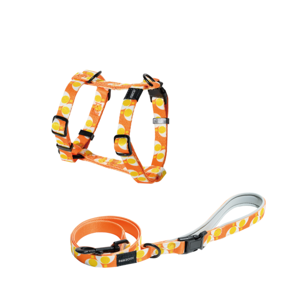 PAWZCITY Harness & Leash Set For Dog