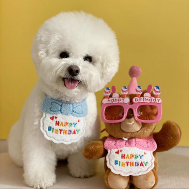 Happy Birthday Party Hat & Bandana Set