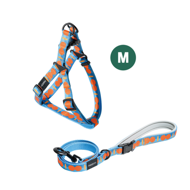 PAWZCITY Harness & Leash Set For Dog