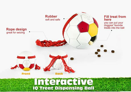 PETOPIA Ultra Tough Dog Toy Football Game