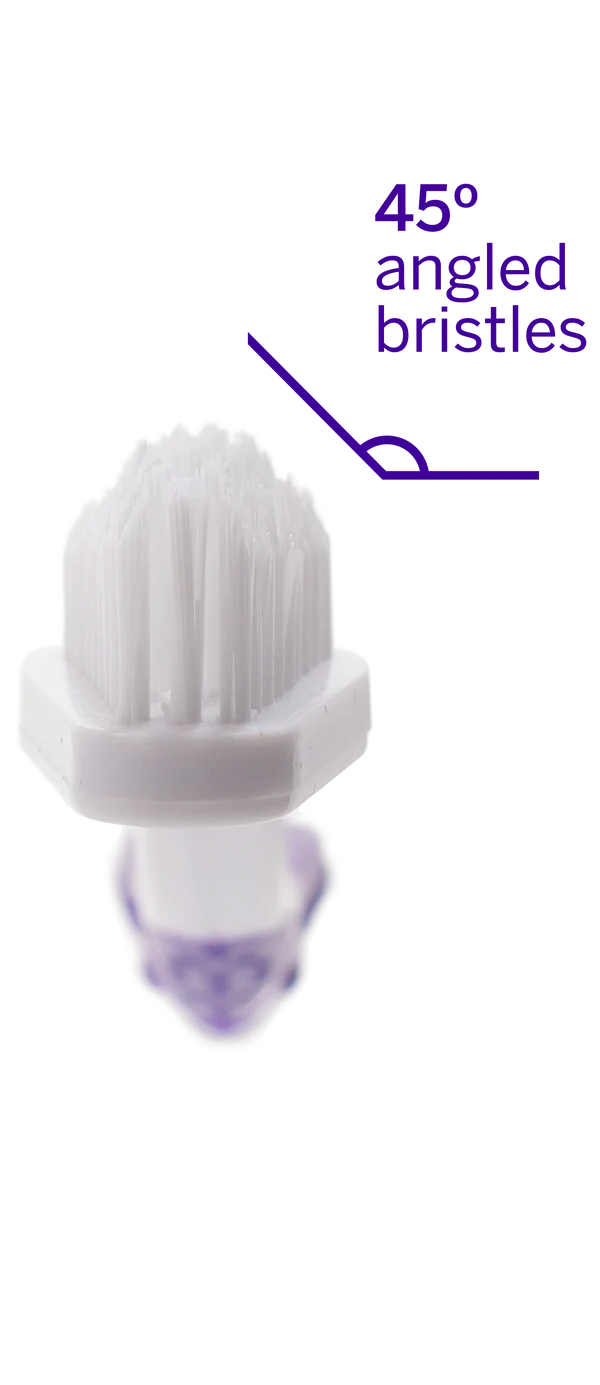 PETSMILE Professional Pet Toothbrush - Patented 45° Dual-Ended Brush Head