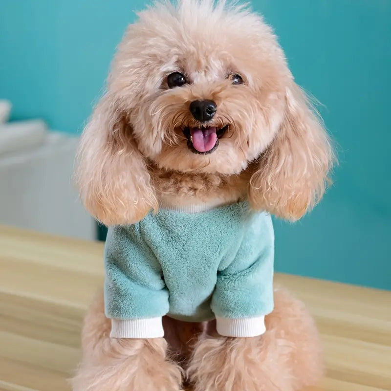 Fleece Winter Dog Sweater With Flower