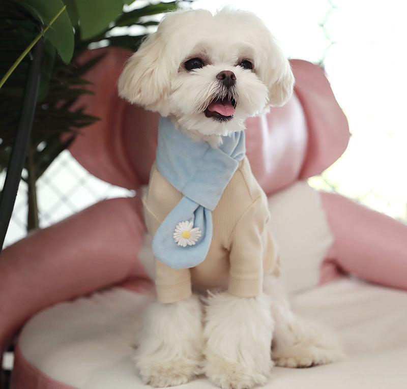 Cheepet Pet Scarf for Dogs & Cats