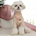 Cheepet Pet Scarf for Dogs & Cats