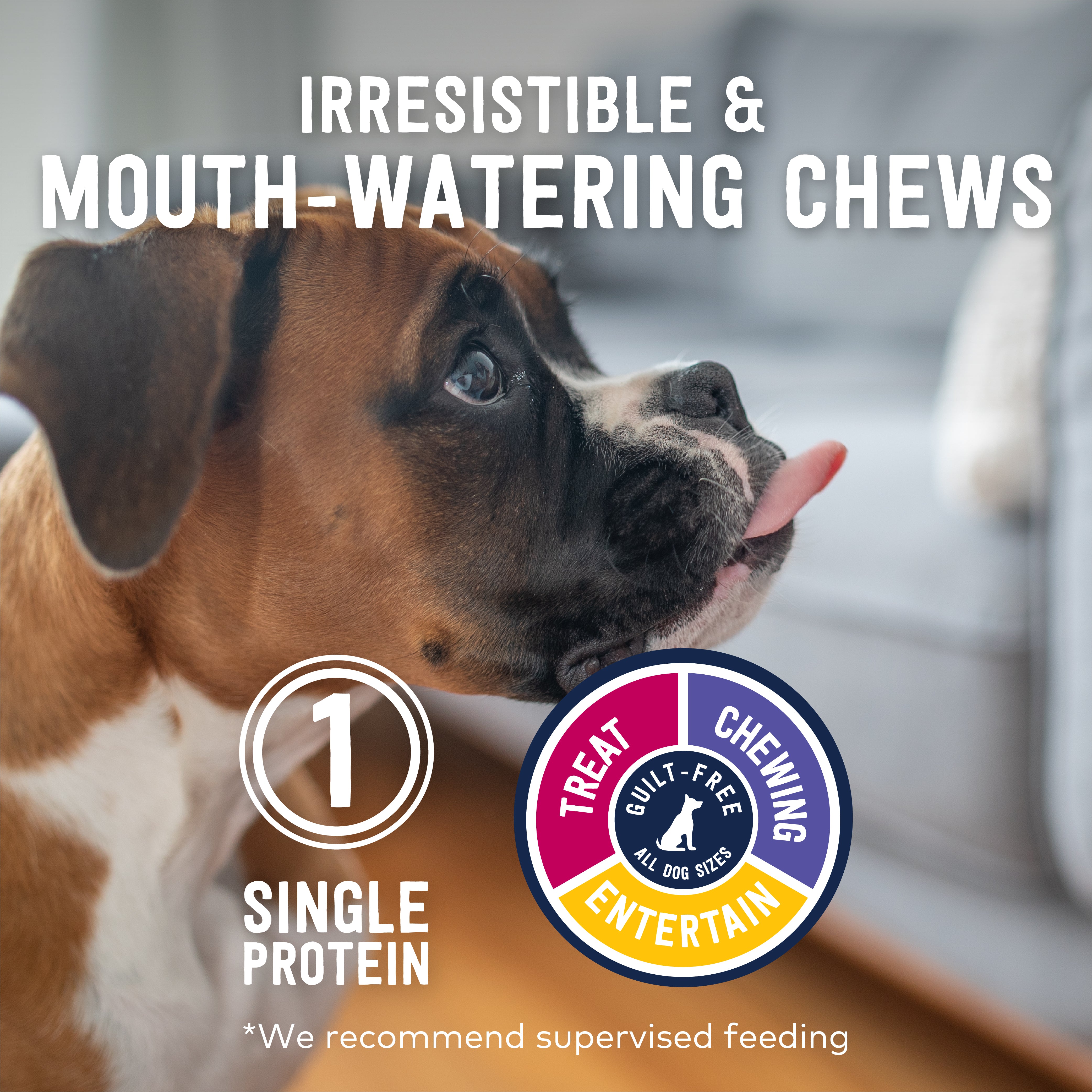 ZIWI Oral Treats & Chews - Lamb Ears