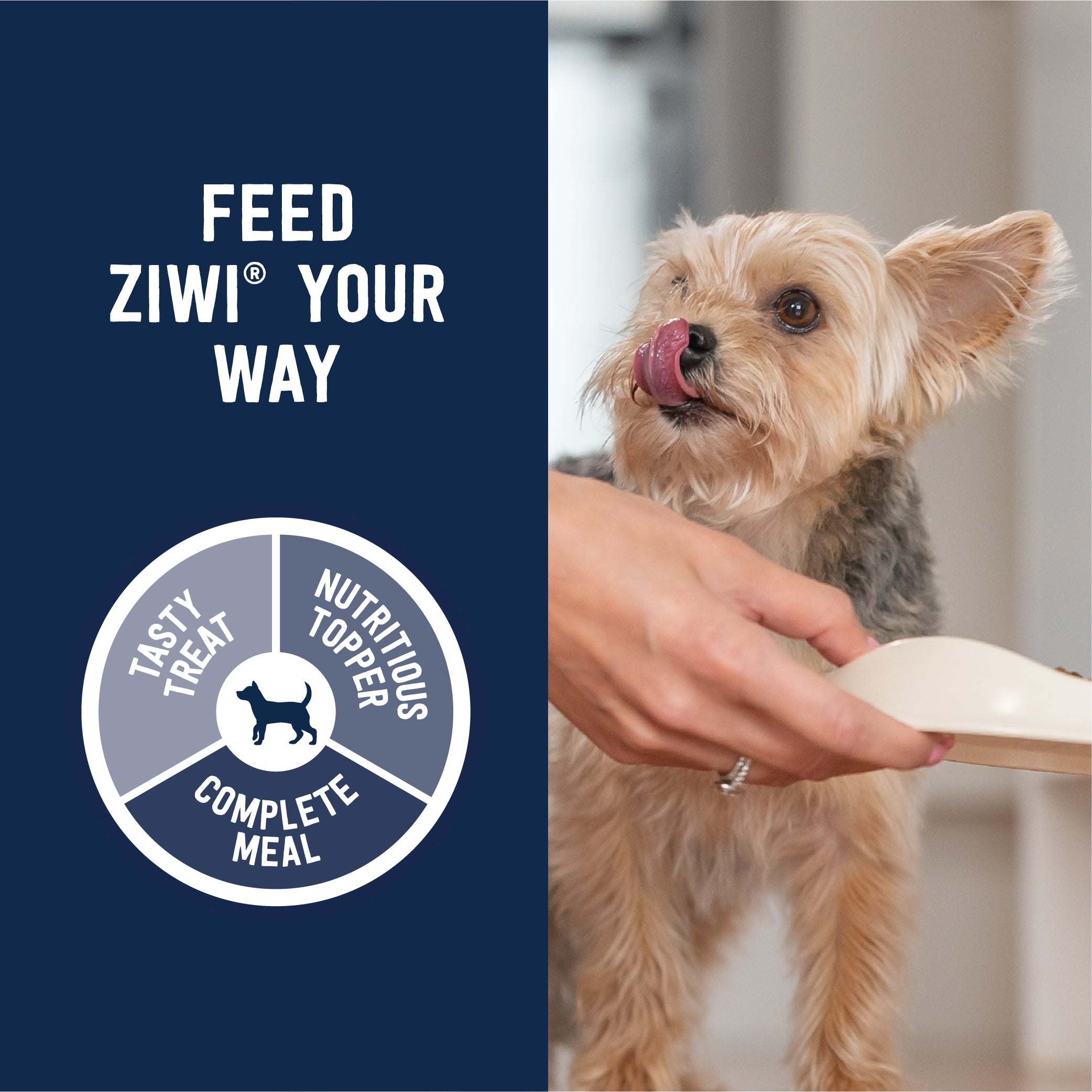 ZIWI Peak Air-Dried Dog Food - Beef Recipe